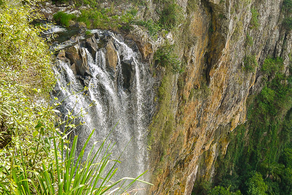 Queensland Protected Area Strategy a ‘strong foundation for nature’, say peak environmental groups