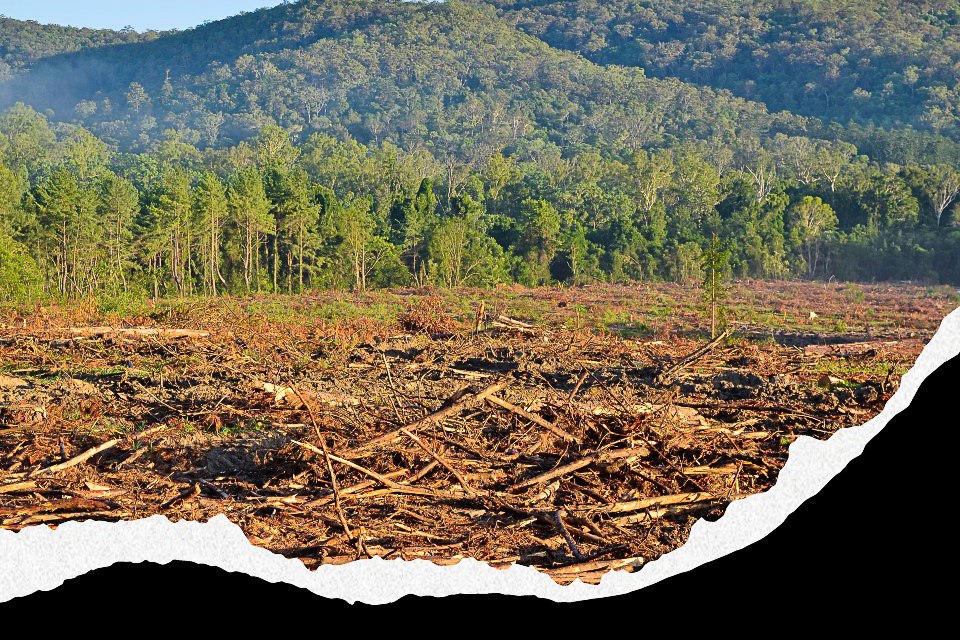 On track for a ghastly future – experts’ grim prognosis for the planet