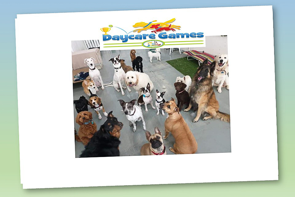 The Dog Gurus annual Daycare Games