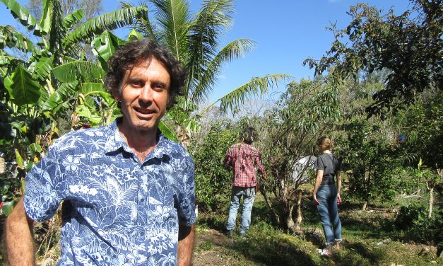 Churchill Fellowship supports Gavin Hardy to explore community food forests and orchards