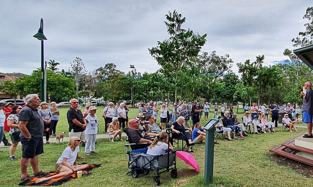 Logic of greenspace loss as part of green-bridges plan queried by residents
