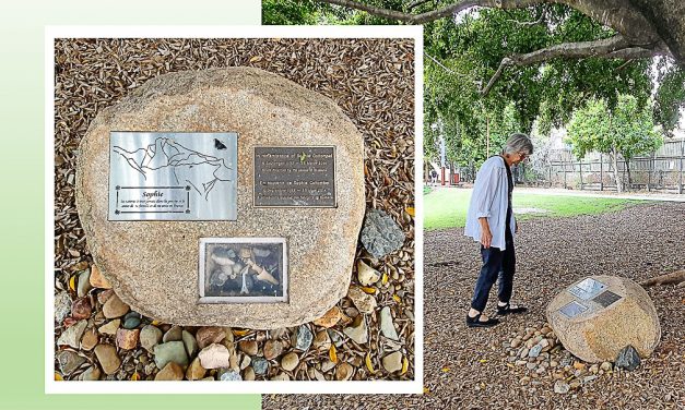 Remembering Sophie Collombet