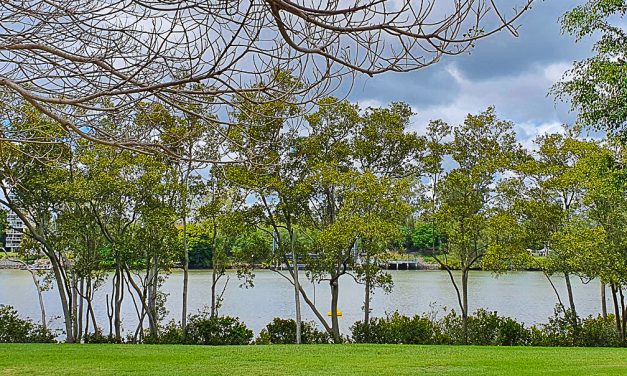 The loss of our urban green spaces may cost us more than we think