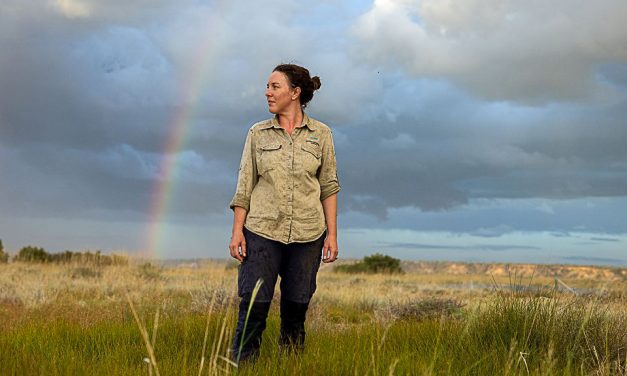 The secret to caring for the Outback