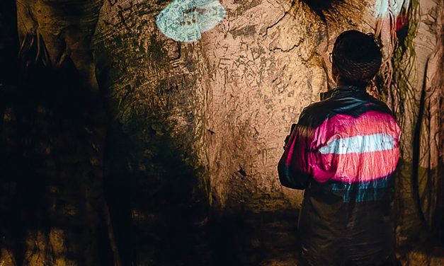 Botanica: the perfect antidote to the year of feeling disconnected