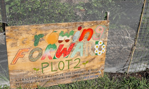 Food Justice: a cause for communities to come together