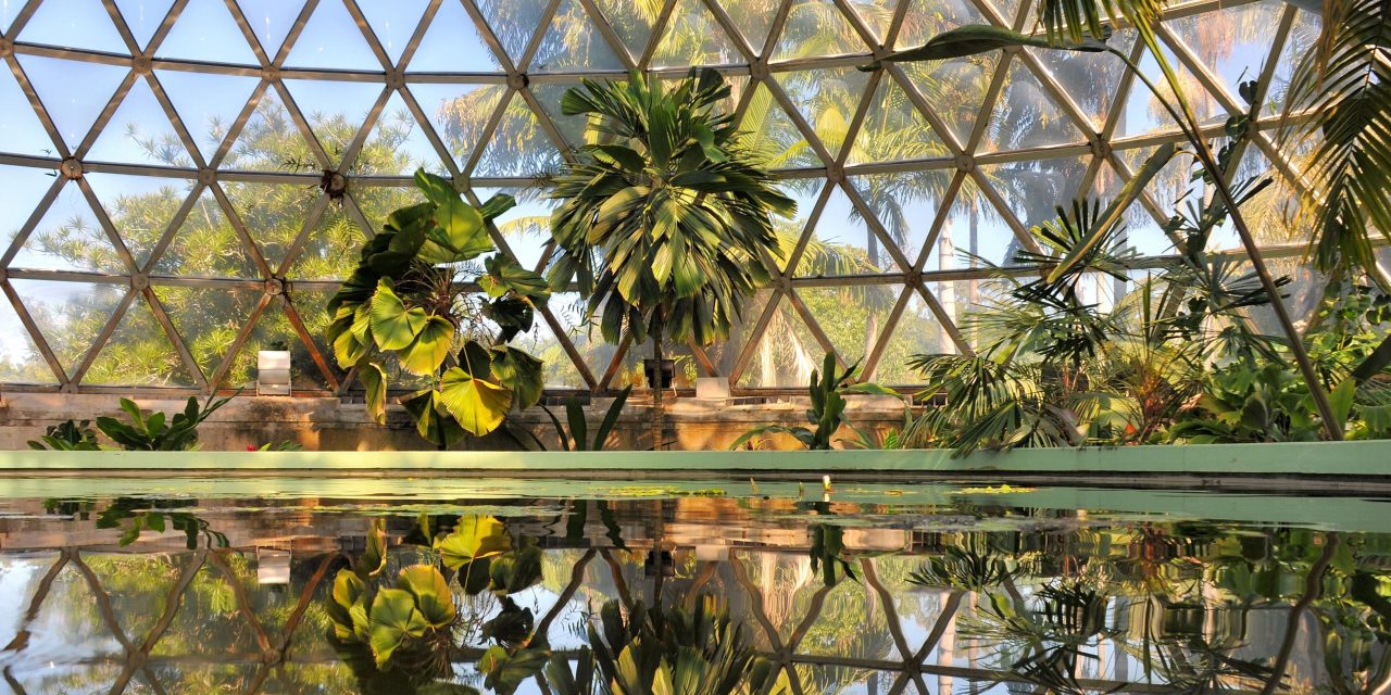 Mt Coot-tha Botanic Gardens celebrates 45 years on National Botanic Garden Day
