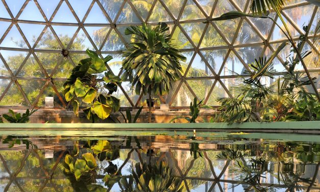 Mt Coot-tha Botanic Gardens celebrates 45 years on National Botanic Garden Day