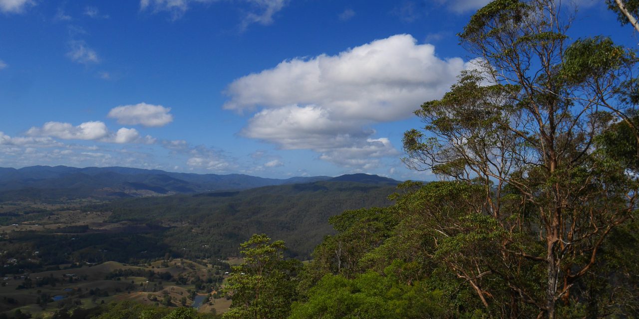 Queensland Budget 2021: Investment in environment welcome but protected area funding still a glaring omission 