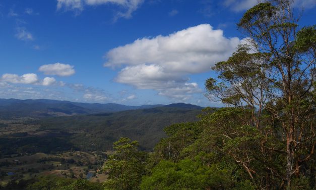 Queensland Budget 2021: Investment in environment welcome but protected area funding still a glaring omission 