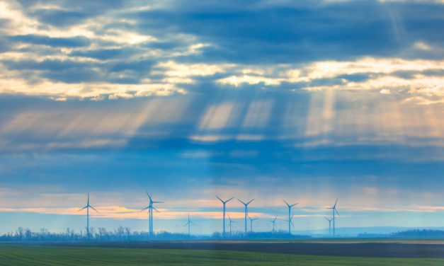 Big News from Queensland Conservation Council on 100% renewable target