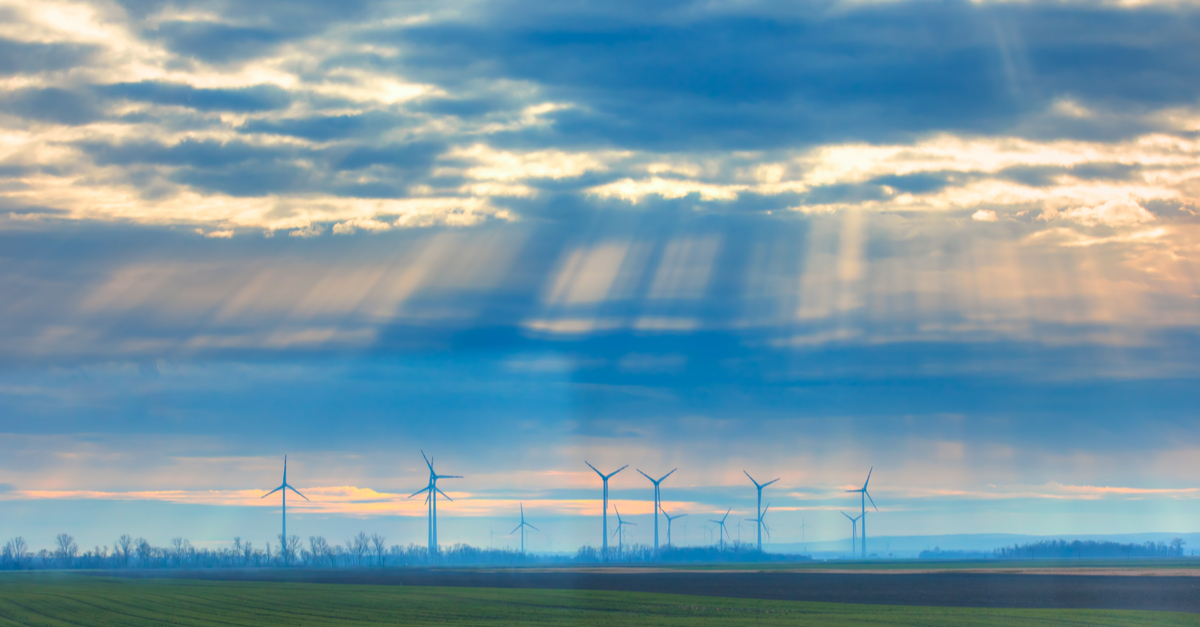Big News from Queensland Conservation Council on 100% renewable target