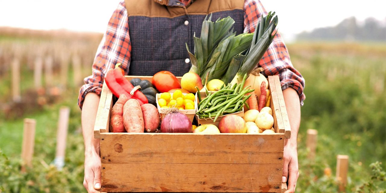 Nutrition for a healthy gut