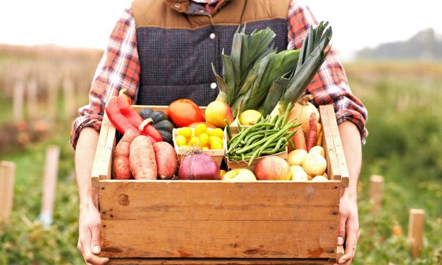 Nutrition for a healthy gut