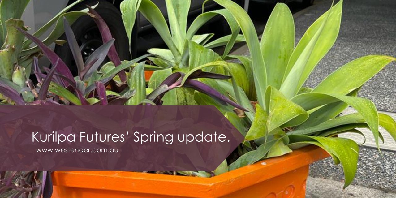 Kurilpa Futures Spring update