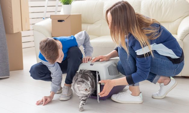 Government passes new renting laws to mixed response.