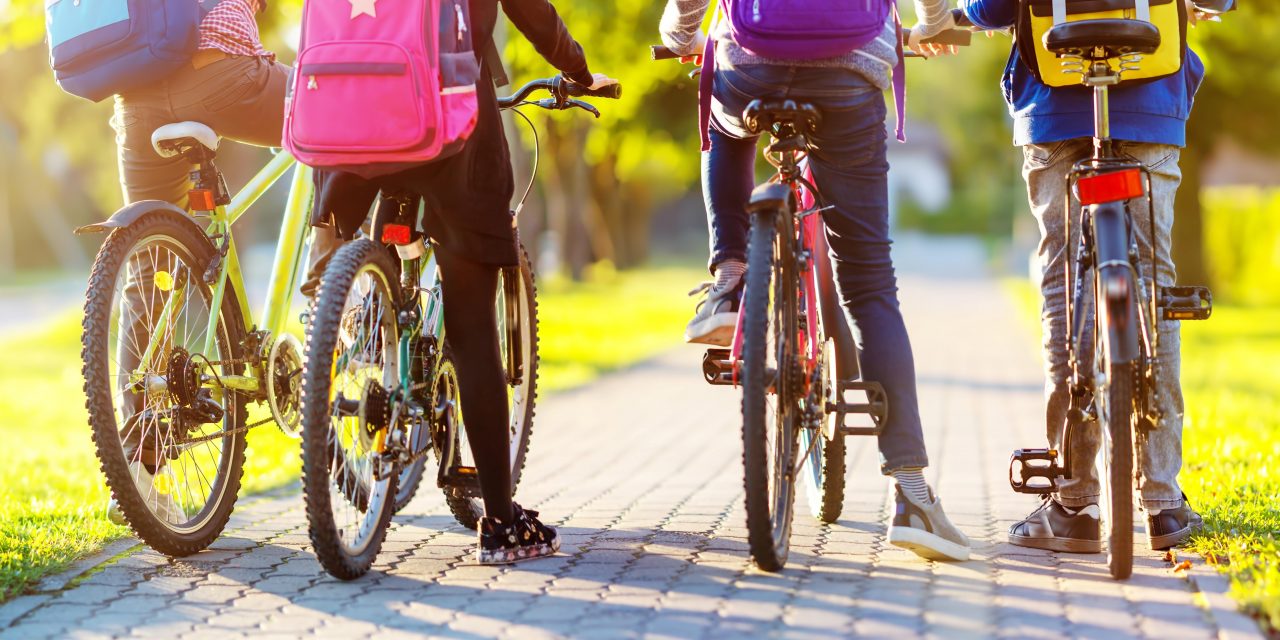 Go in the draw to help State High develop a green transport hub.
