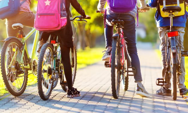 Go in the draw to help State High develop a green transport hub.