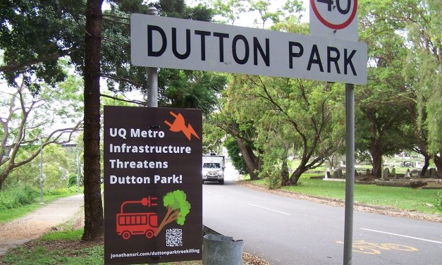Dutton Park trees and parkland under threat from Metro charging infrastructure