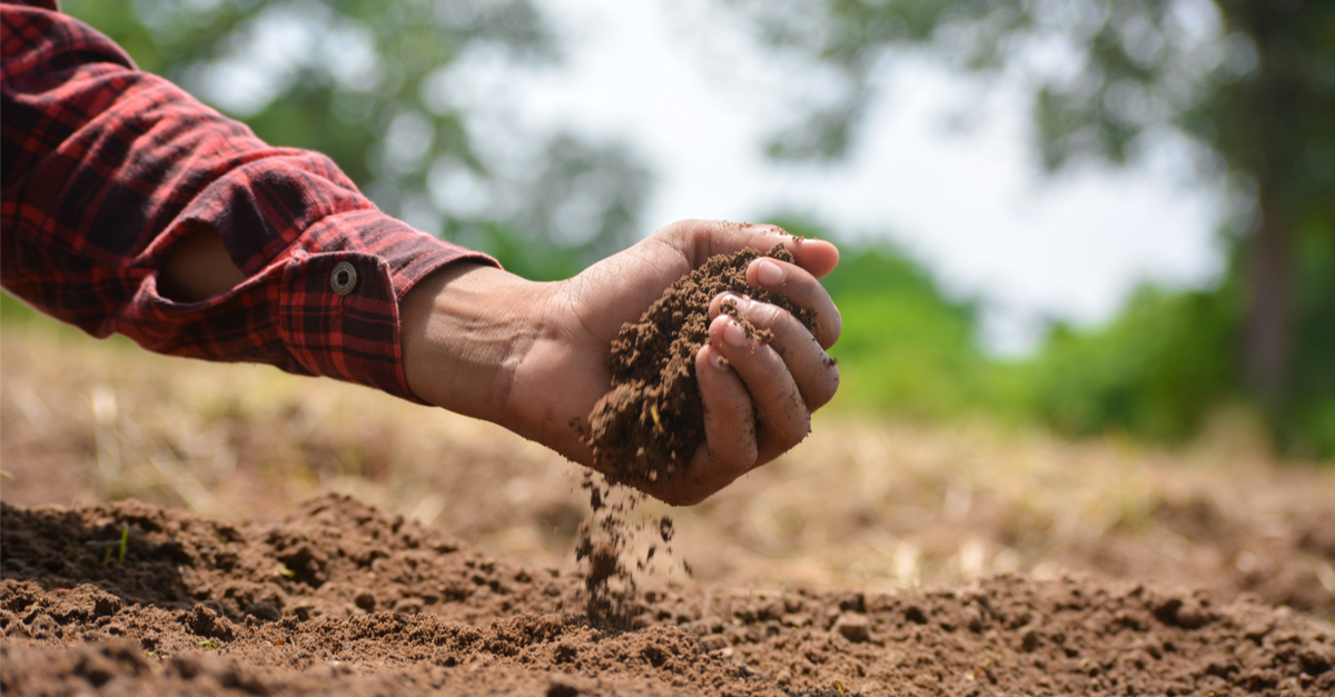 Know thy soils, by Gavin Hardy