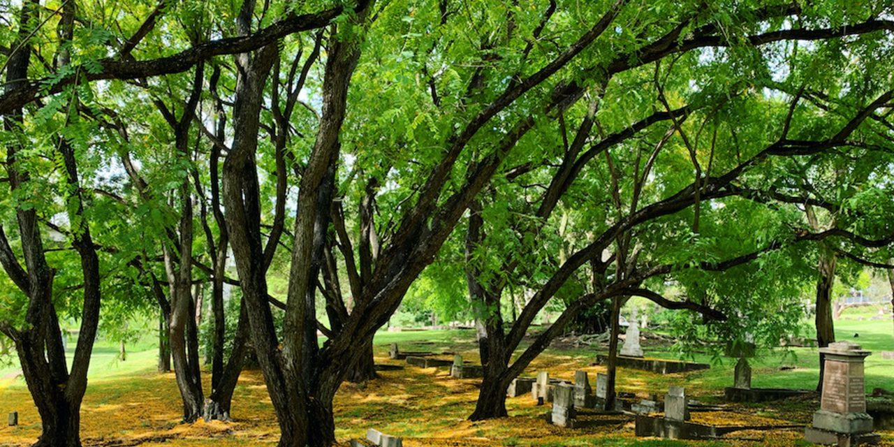 Everyday engagements at South Brisbane Cemetery