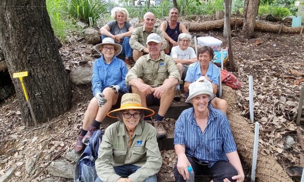 Dauphin Terrace Park – a 25 year labour of love