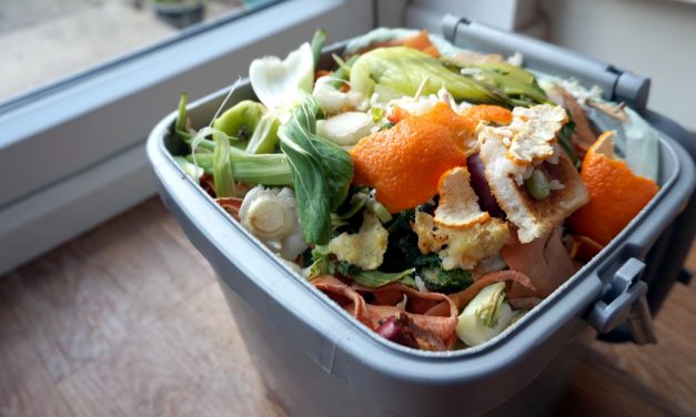 Brisbane households invited to be part of food waste pilot