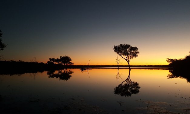 New national park to protect nationally important wetlands in North Queensland