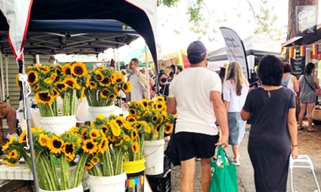 West End Markets by Rose Lane