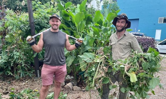 Jane Street Community Garden needs assistance to rebuild.