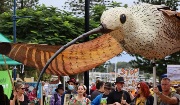 The developer and the shorebirds | the fight for Toondah Harbour