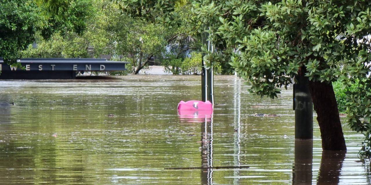 Local Residents Rally around Resilience.