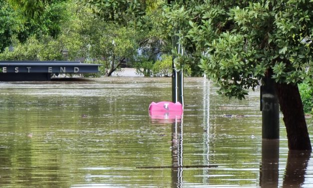 Local Residents Rally around Resilience.
