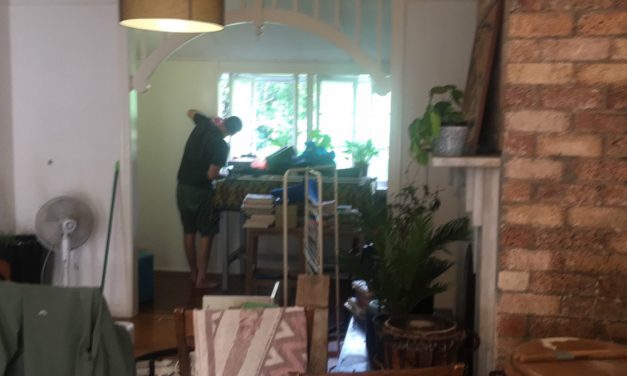 Mould: The New Housemate