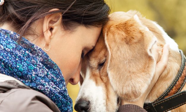 Pets in Crisis: The link between DFV and Animal Cruelty.