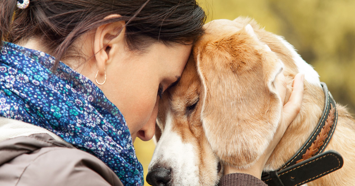 Pets in Crisis: The link between DFV and Animal Cruelty.