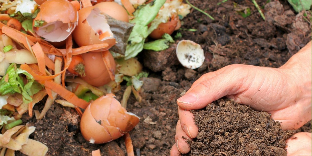 Survey – Household Waste Management Across Greater Brisbane.