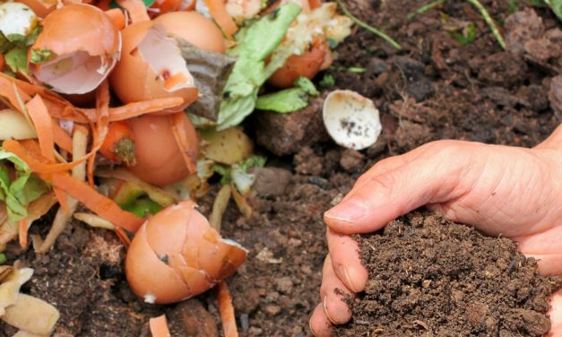 Survey – Household Waste Management Across Greater Brisbane.
