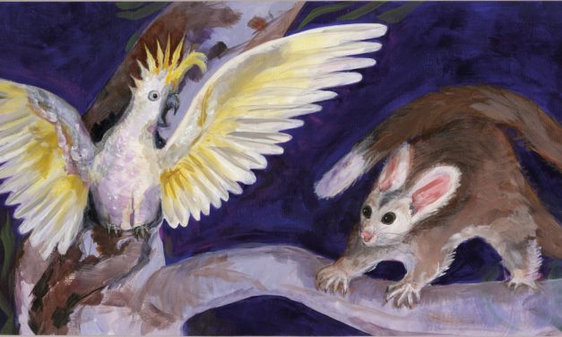 Children’s book raises the profile of the endangered Greater Glider.