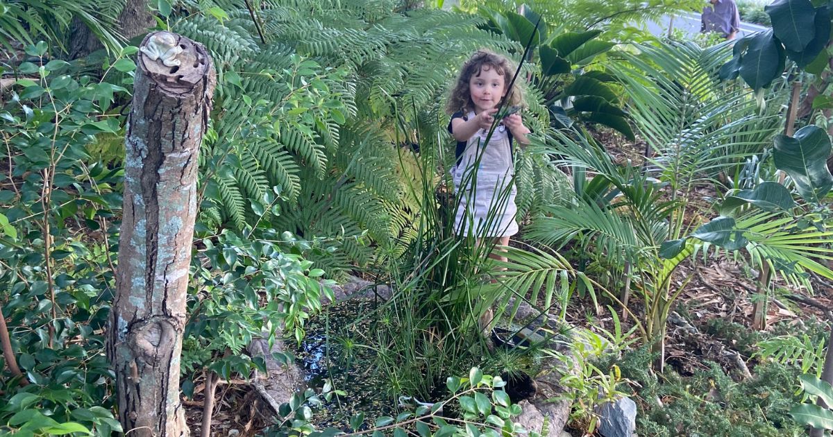 Rainforest Garden at bottom of Ferry Road West End.