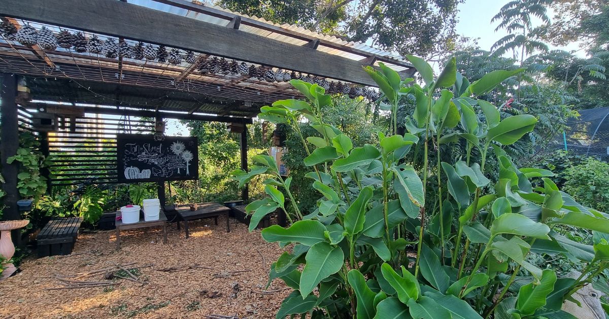 Government grants for community gardens.
