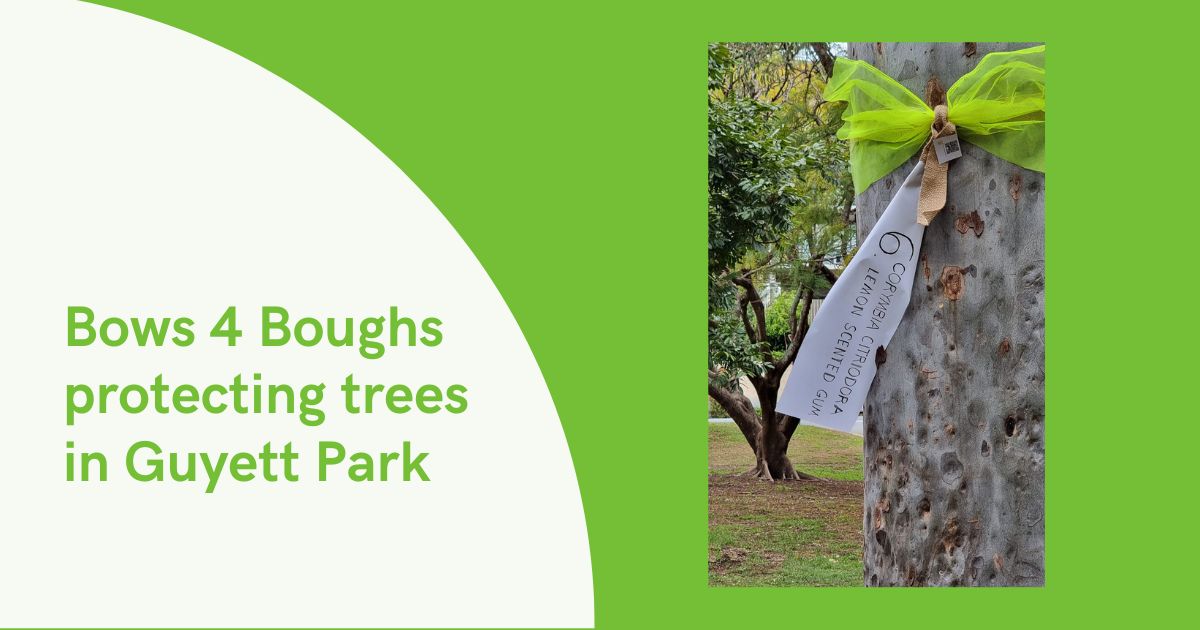 Bows 4 Boughs protecting trees in Guyett Park.