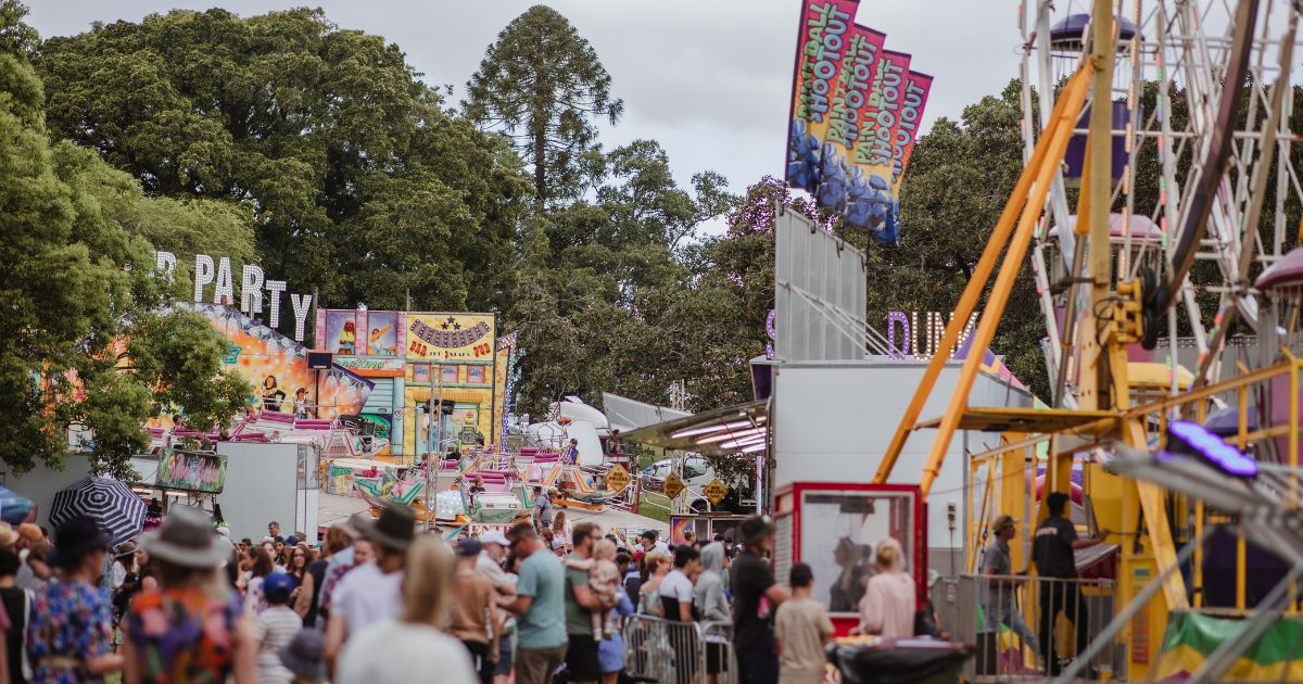 Paniyiri back at Musgrave Park as housing crisis bites.