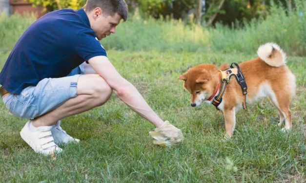 Is leaving dog poo in the street really so bad? The science says it’s even worse than you think.