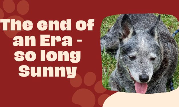 The End of an Era – so long Sunny.