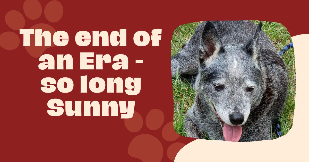 The End of an Era – so long Sunny.