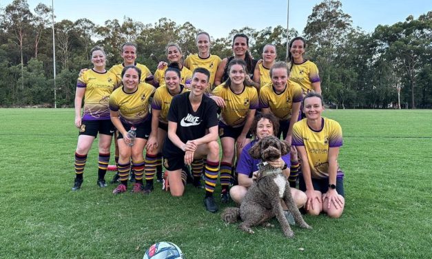 West End football club says the Kurilpa precinct plan will exacerbate pressure for sporting facilities.