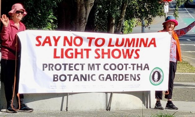 Mount Coot-tha Protection Alliance illuminates lack of community consultation over light show approval.