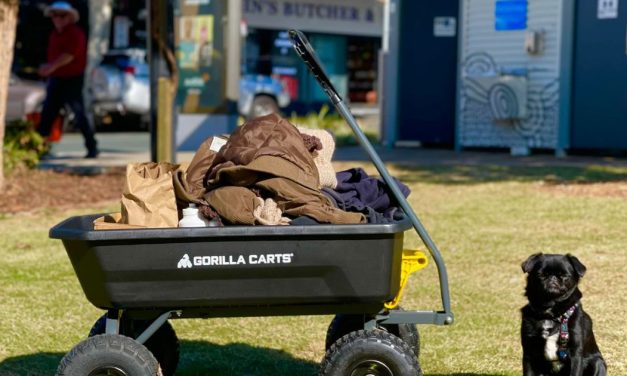 Concerned local creates Feeding 4101 to support people in need.