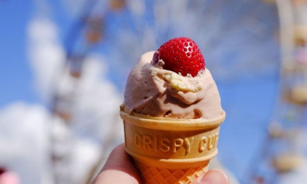 Get ready for Ekka and plan your travel.